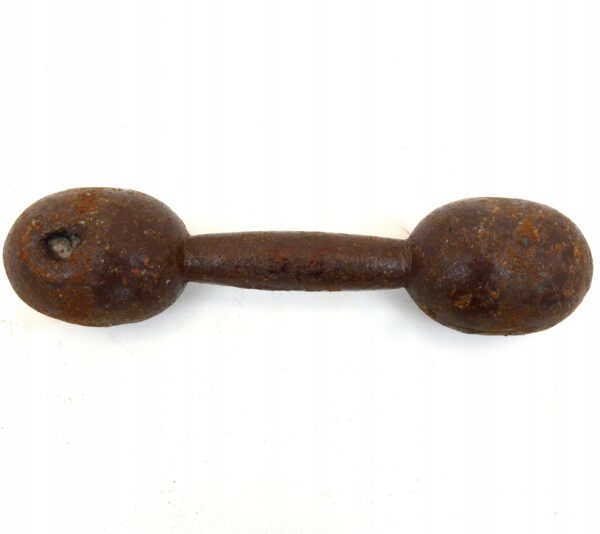 Hantle żeliwne 5,5kg WP