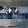 Pompa motorowa paliwowa PMP-150 z Wojska - obrazek 4